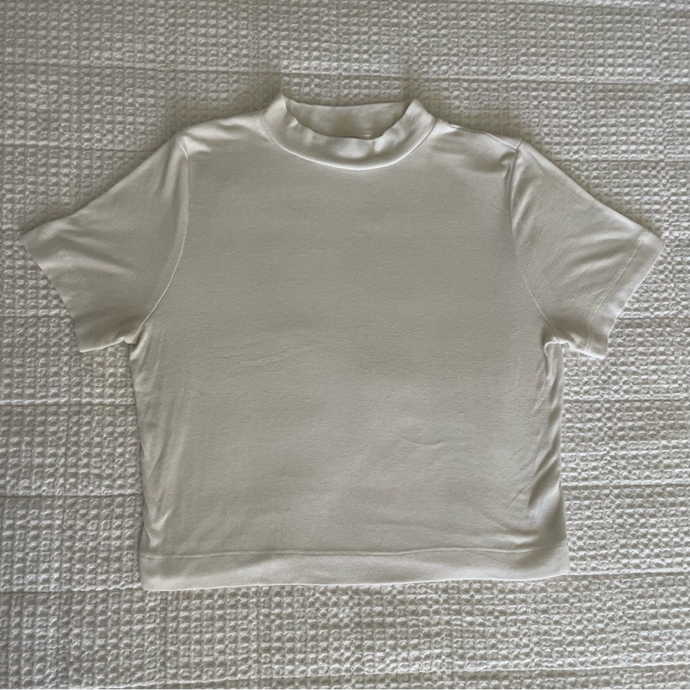 Aritzia Babaton White Gonzalo Hip T-Shirt
